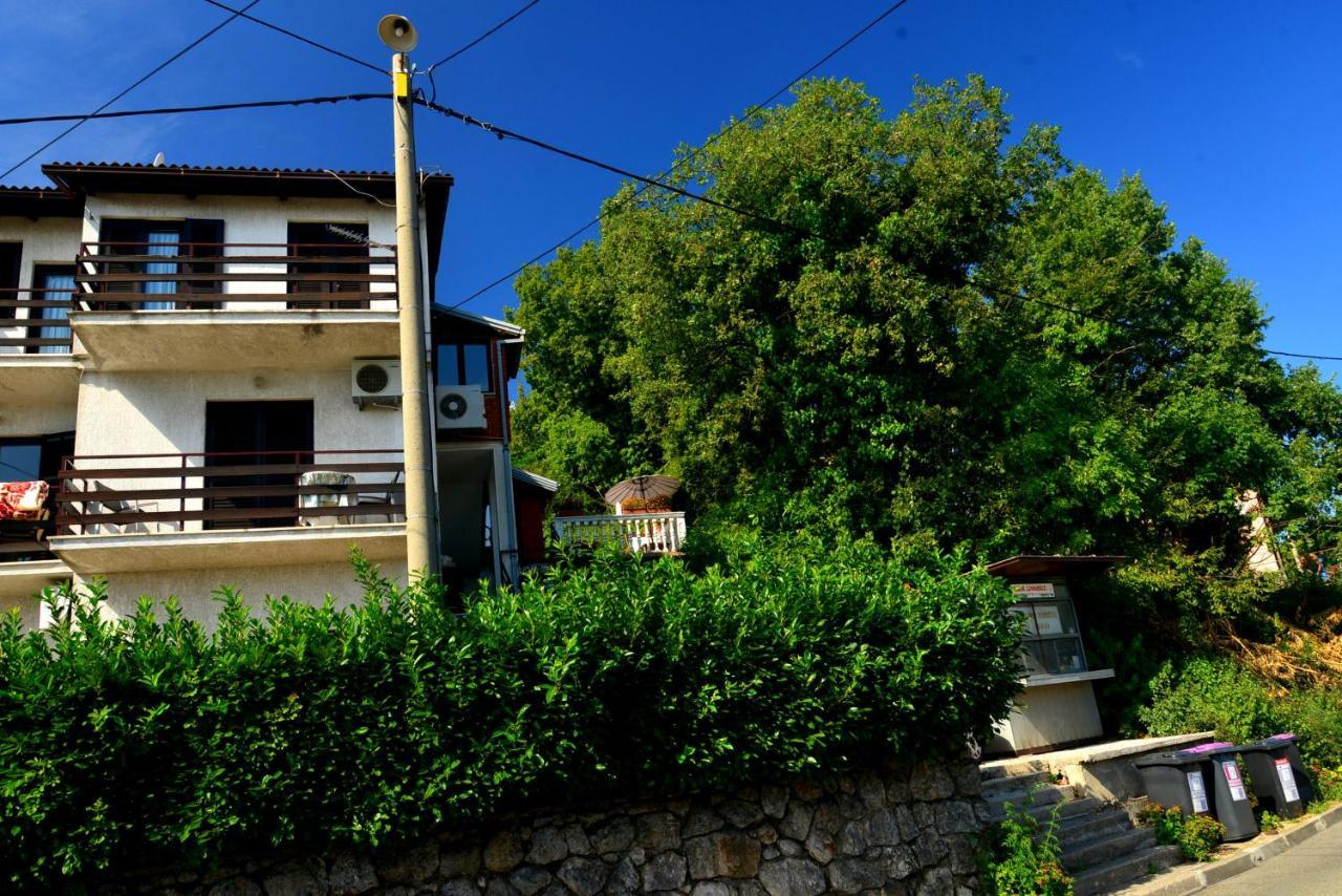 אופטיה Villa Maria מראה חיצוני תמונה