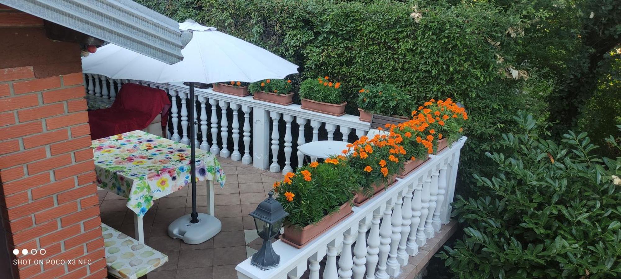 אופטיה Villa Maria מראה חיצוני תמונה