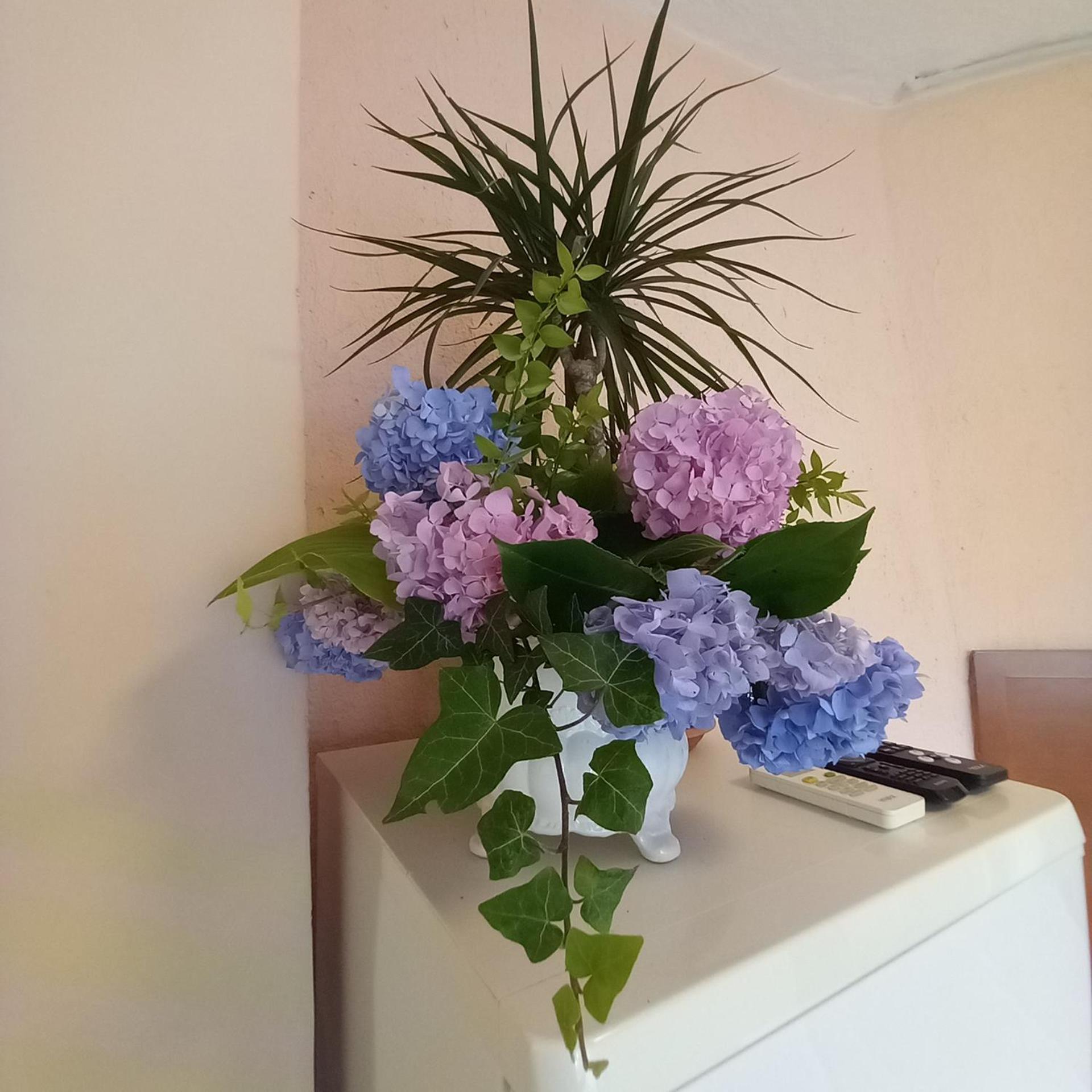 אופטיה Villa Maria מראה חיצוני תמונה