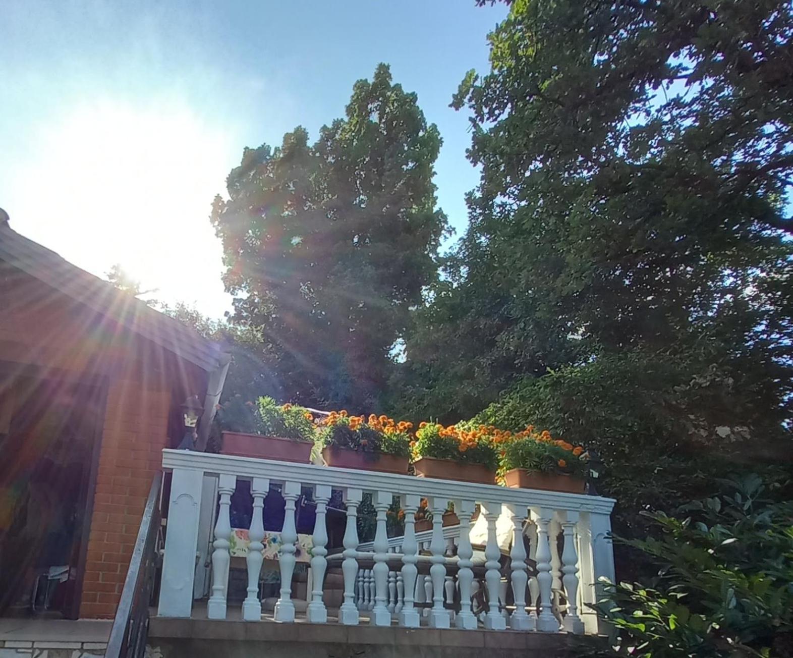 אופטיה Villa Maria מראה חיצוני תמונה