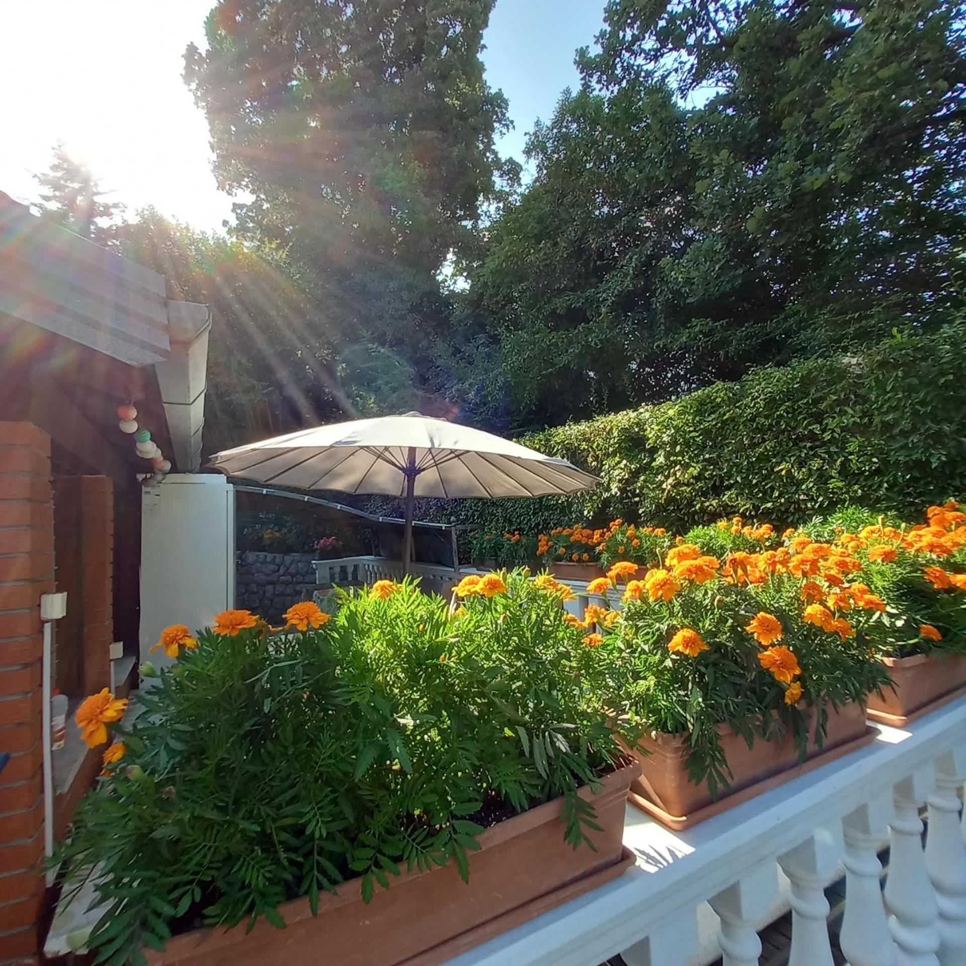 אופטיה Villa Maria מראה חיצוני תמונה