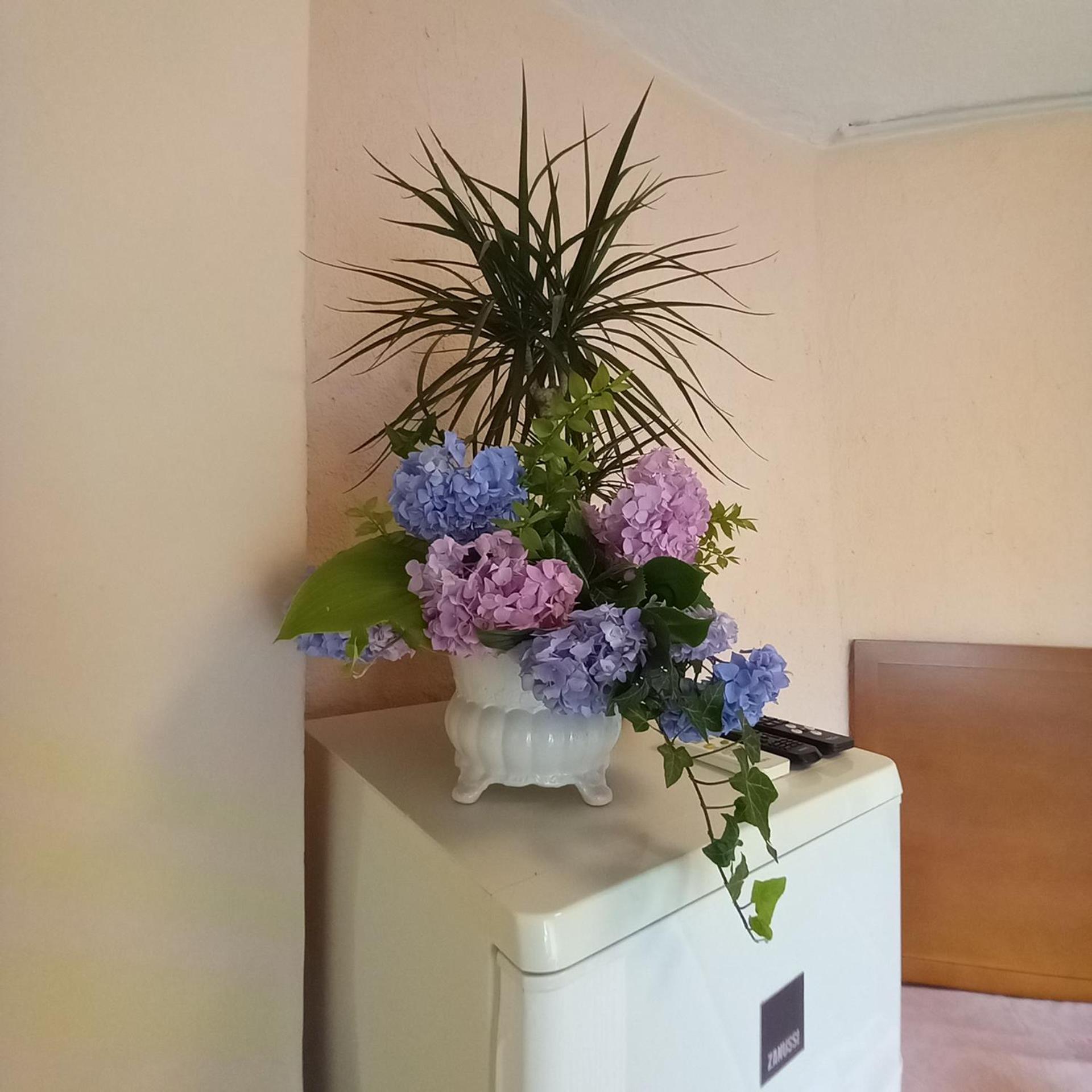 אופטיה Villa Maria מראה חיצוני תמונה