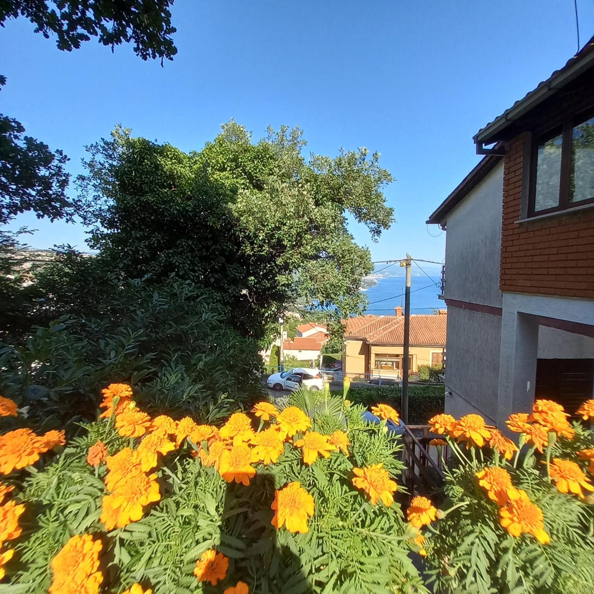 אופטיה Villa Maria מראה חיצוני תמונה